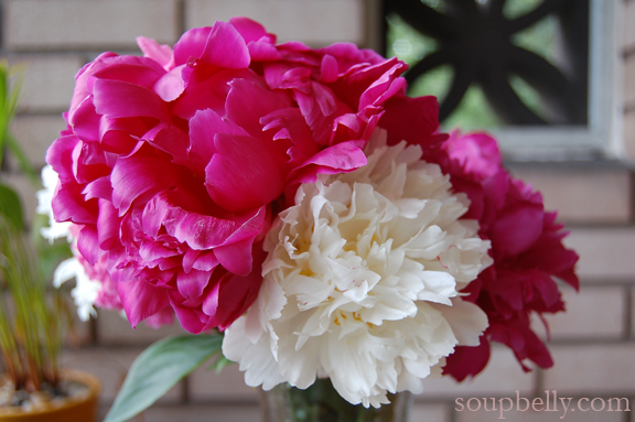DSC_0015 DSC_0015