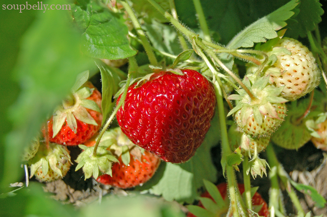 DSC_0021 DSC_0021