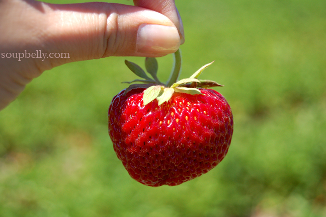 DSC_0027 DSC_0027