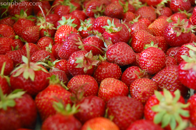 DSC_0050 DSC_0050