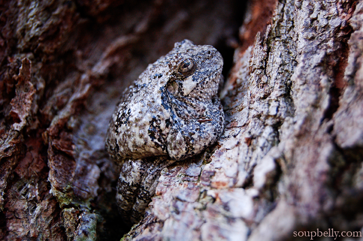 DSC_0231 DSC_0231
