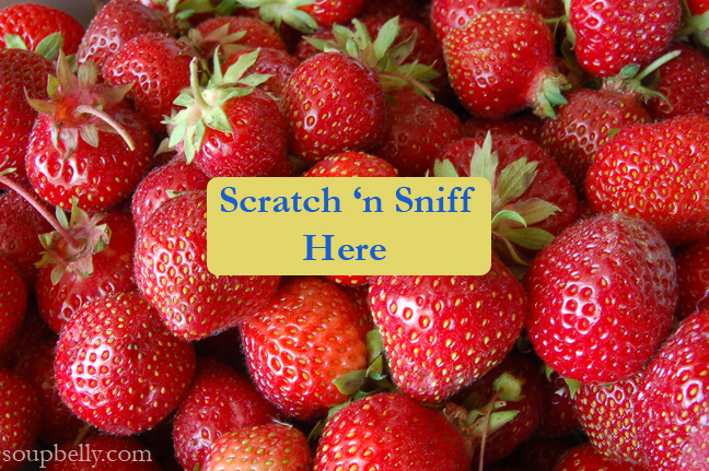 scratchsniff scratchsniff