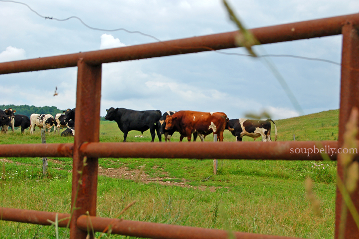 DSC_0168 DSC_0168