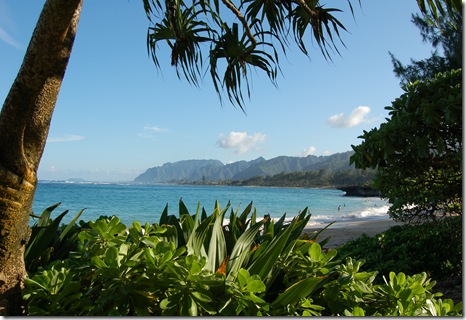 Hawaii 316