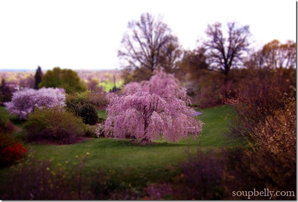 tiltshift3