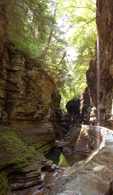 Watkins Glen3