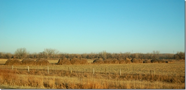 DSC_0121a