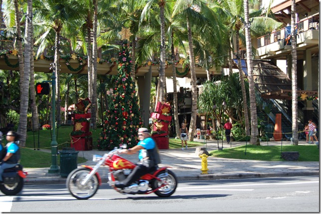 Hawaii 010