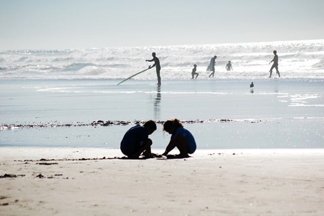 DSC_0033a