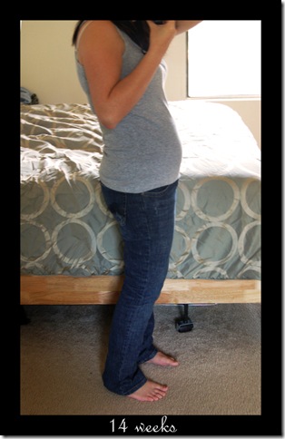 14 weeks