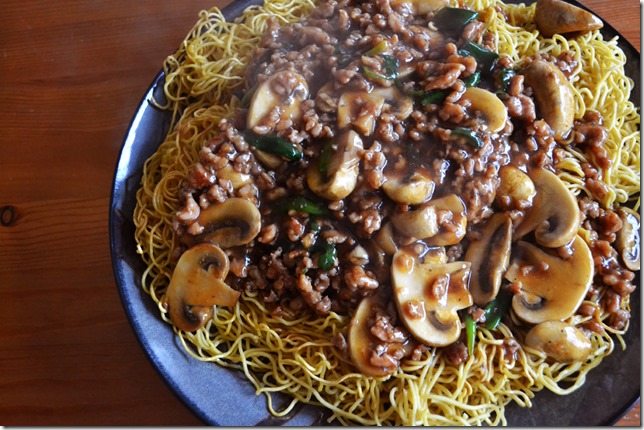 Cantonese Pan Fried Noodles